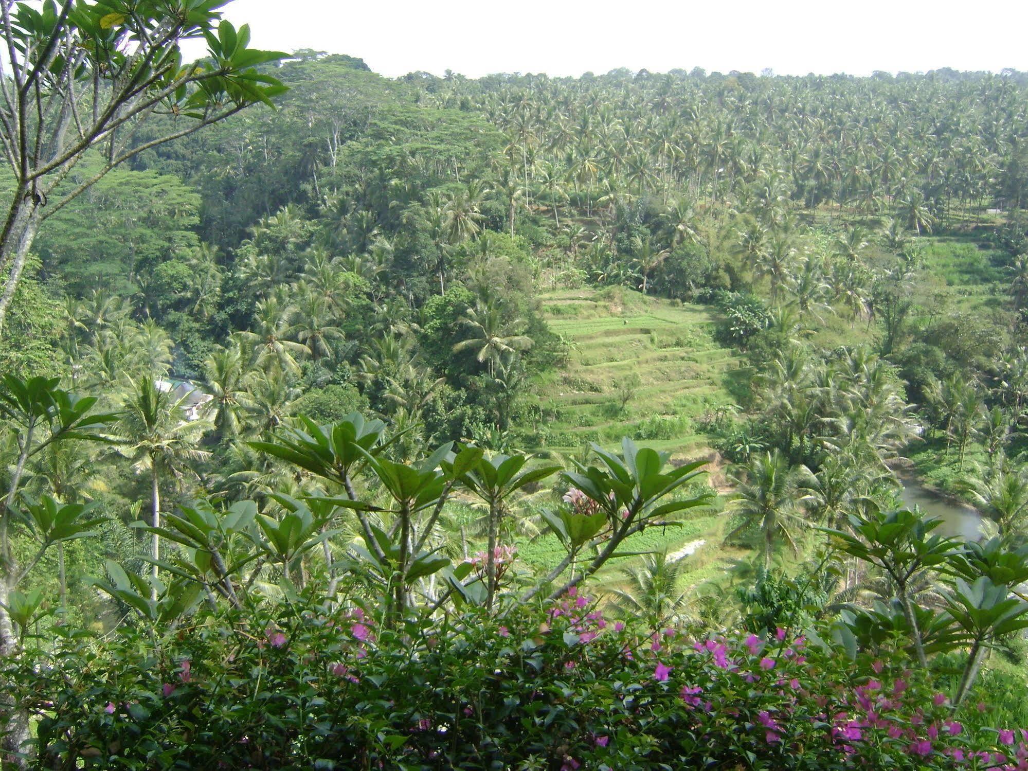 Taman Bebek Bali Ubud Exterior foto