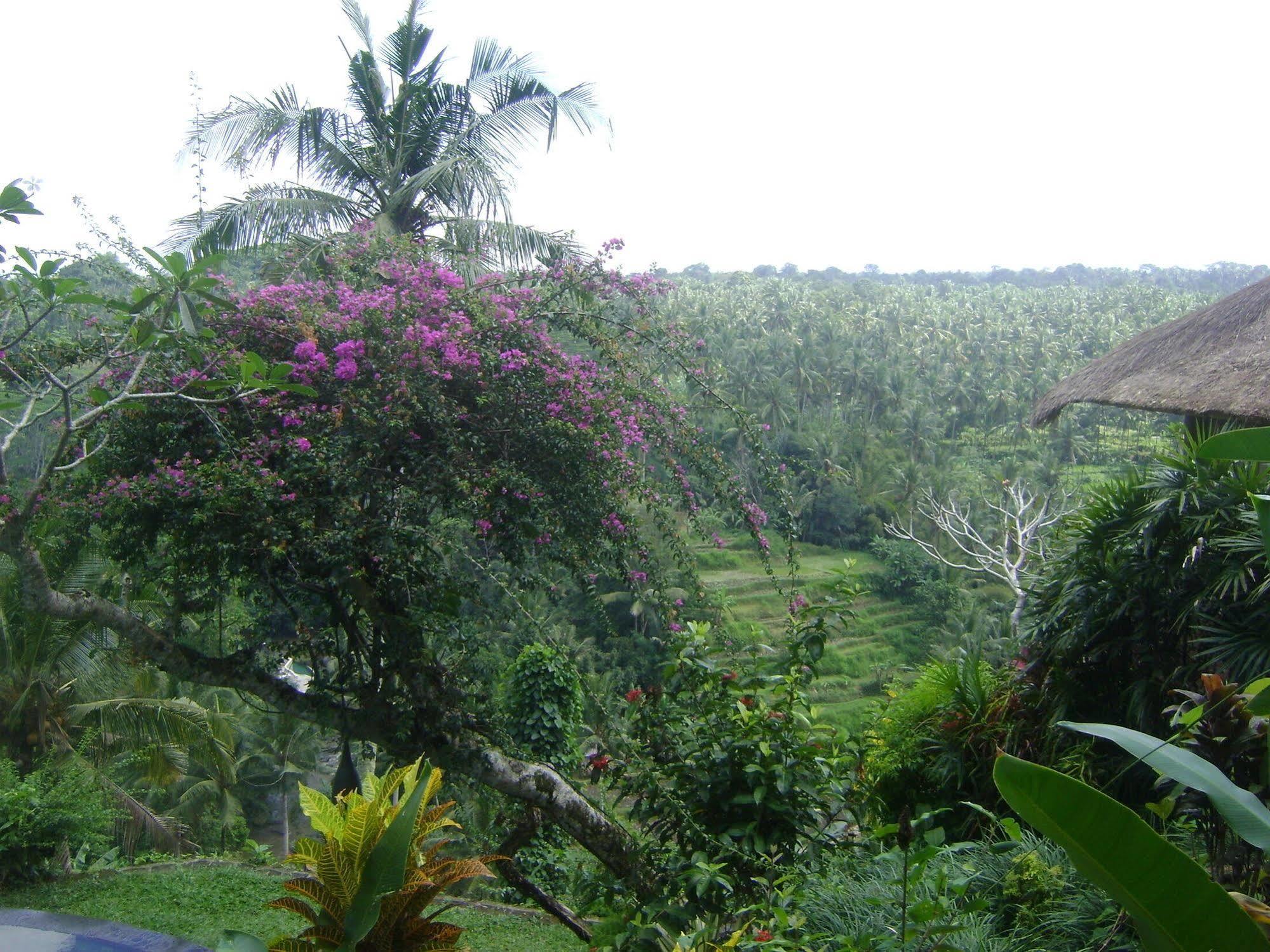Taman Bebek Bali Ubud Exterior foto