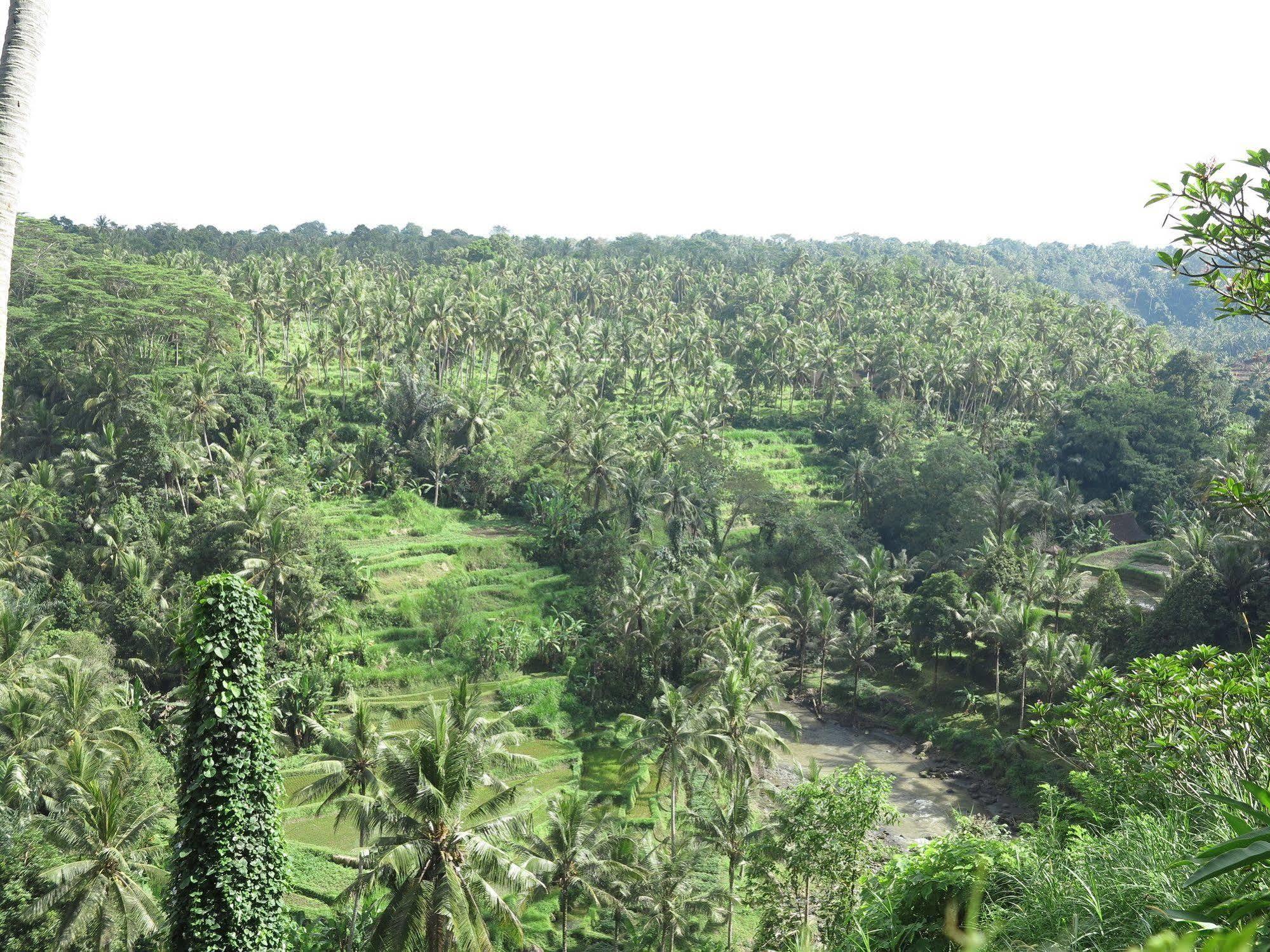 Taman Bebek Bali Ubud Exterior foto